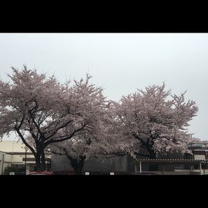 Meet your Posher, Denisha